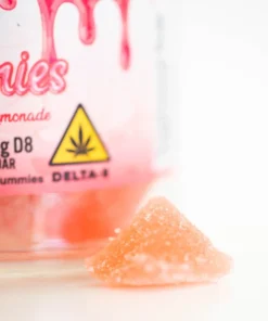 Baked Bags Raspberry Lemonade Gummies